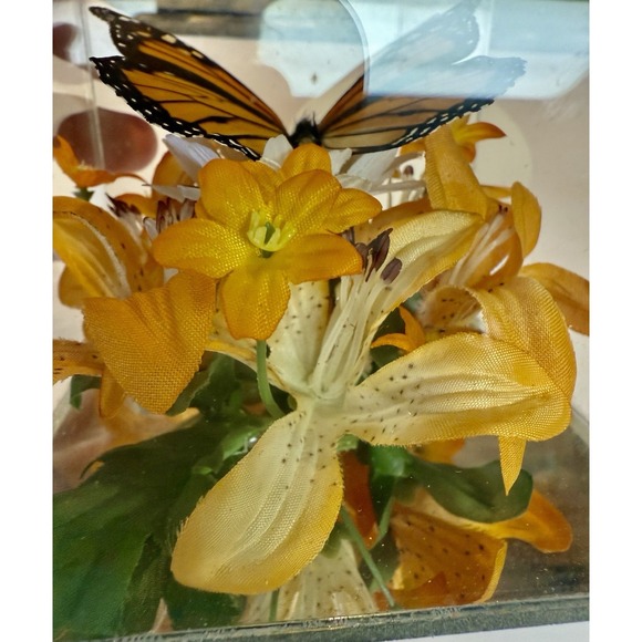Vintage 1970s Real Monarch Butterfly Display Taxidermy Acrylic Case Decor - Picture 10 of 13